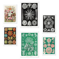 POSTER Set Mit 6 Botanisch Blumig A3 & A4 Rahmenlos - Klar, Papier (29/3cm) - Nacnic