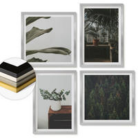 WANDBILDER 4er Set - 50x50 cm & 40x60 cm Silberner Rahmen - Rustikale Topfpflanzen - Silberfarben, Kunststoff (50/50cm) - ArtPrintCave