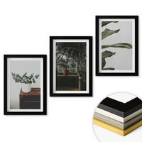WANDBILDER 3er-Set - 20x30 cm Schwarzer Rahmen - Rustikale Topfpflanzen - Schwarz, Kunststoff (20/30cm) - ArtPrintCave