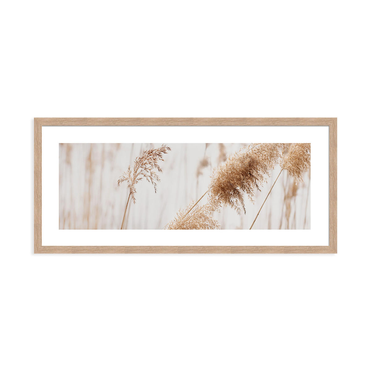 POSTER mit Rahmen 70x30 cm Pampasgras Beige - Beige, Holz (71/30cm) - artissimo