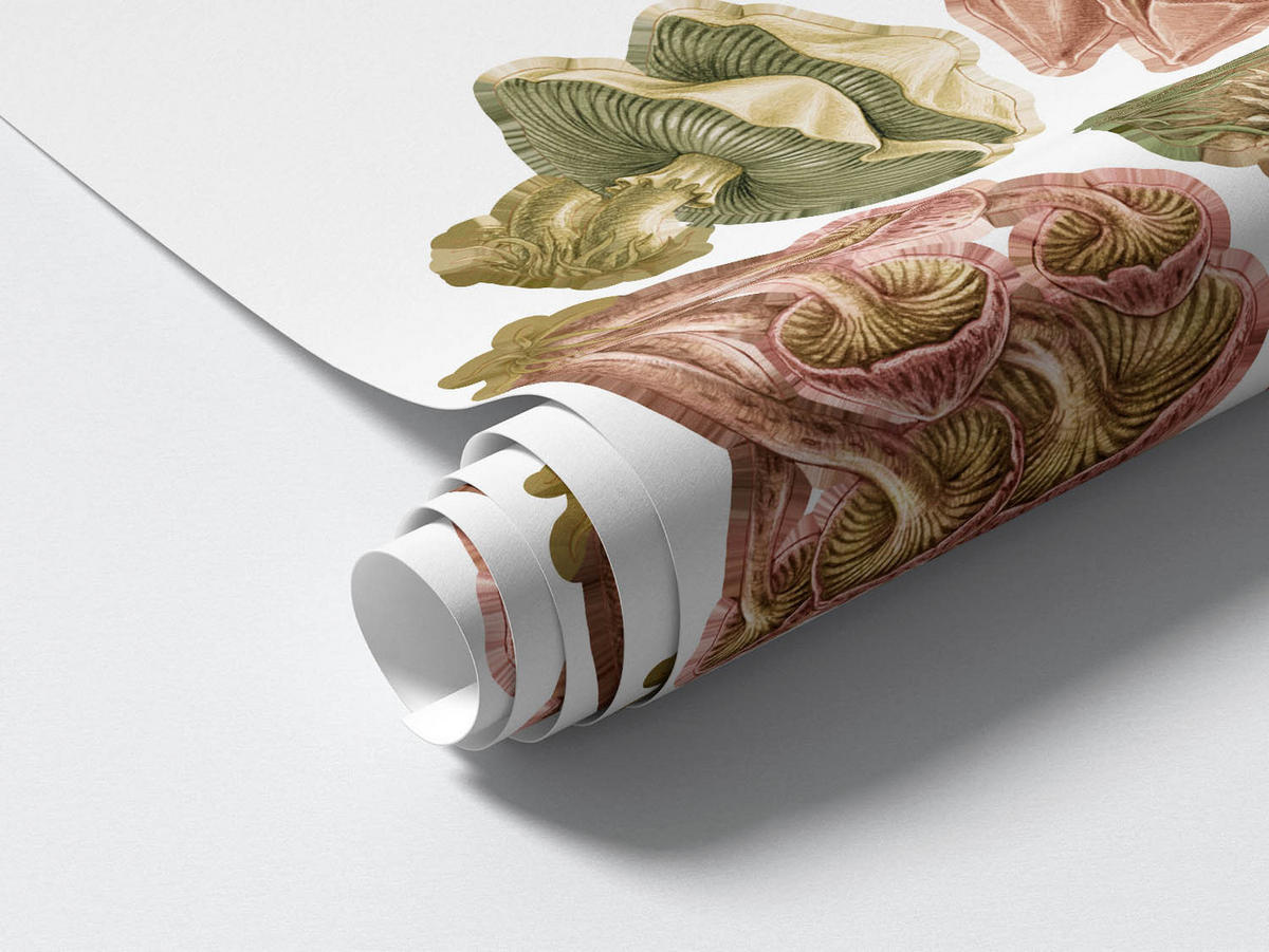 WANDAUFKLEBER 100x40cm - Pilzwiese - Multicolor, Kunststoff (100/40/0.1cm) - Wallfluent