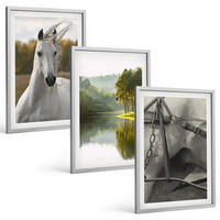 BILDER SET 3er Set - 40x60 cm Silberner Rahmen - Natur des Flusses White Horses - Silberfarben, Kunststoff (40/60cm) - TULUP