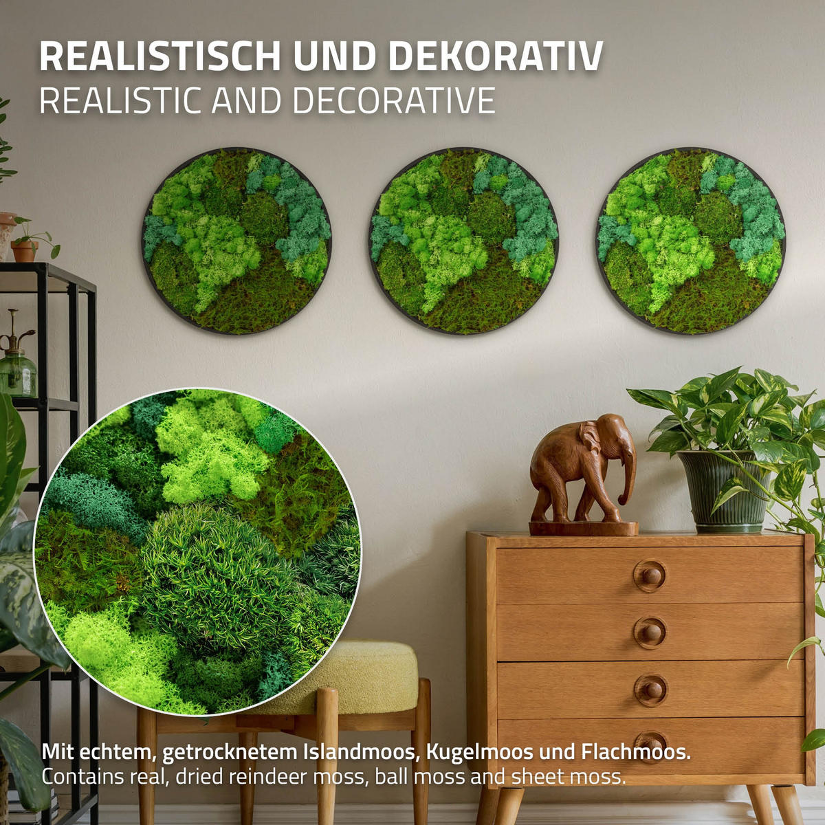 MOOSBILD Rund Ø 40 cm Mooswand Indoor mit echtem echtem Kugelmoos-Islandmoos-Flachmoos-Mix und Holzrahmen Grün - Waldgrün, Naturmaterialien (40/40/3cm) - ECD-Germany