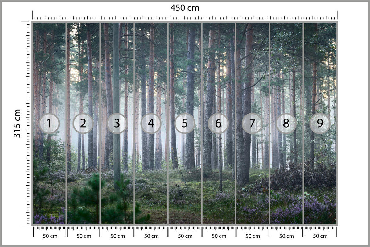 FOTOTAPETA Pre Obývaciu Izbu Hmlový Les So Stromami Mach Zelená 450 x 315 cm - sivá/zelená, papier (450/315cm) - Muralo