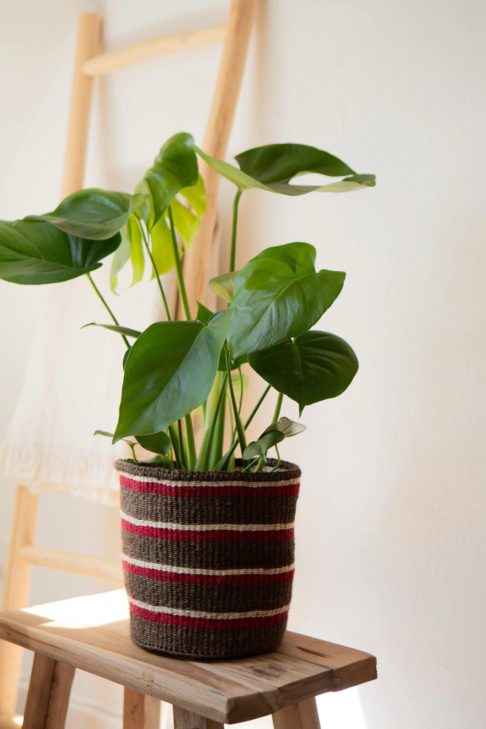 KORB Lamia aus Sisal Ø19 cm - Braun, Naturmaterialien (19/19/23cm) - LaLe Living