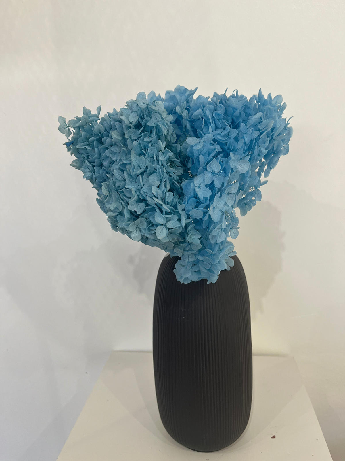 RISPENHORTENSIE: Zeitlose Schönheit, konservierte Hortensien als perfekte Dekoration - blau / 30 cm - Blau, Naturmaterialien (30cm) - Lykke & You