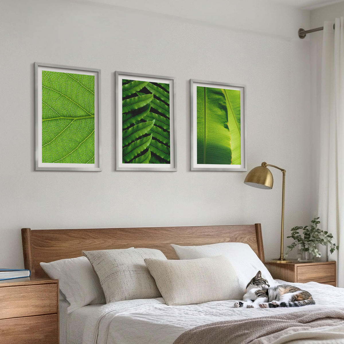 BILDER SET 3er Set - 40x60 cm Silberner Rahmen - Makrofotografie von tropischen Blättern - Silberfarben, Kunststoff (40/60cm) - TULUP