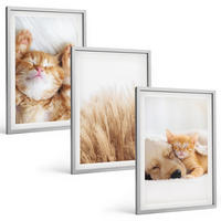 BILDER SET 3er Set - 40x60 cm Silberner Rahmen - Niedliche Tiere, Katzen, Hunde, Boho-Stil - Silberfarben, Kunststoff (40/60cm) - TULUP