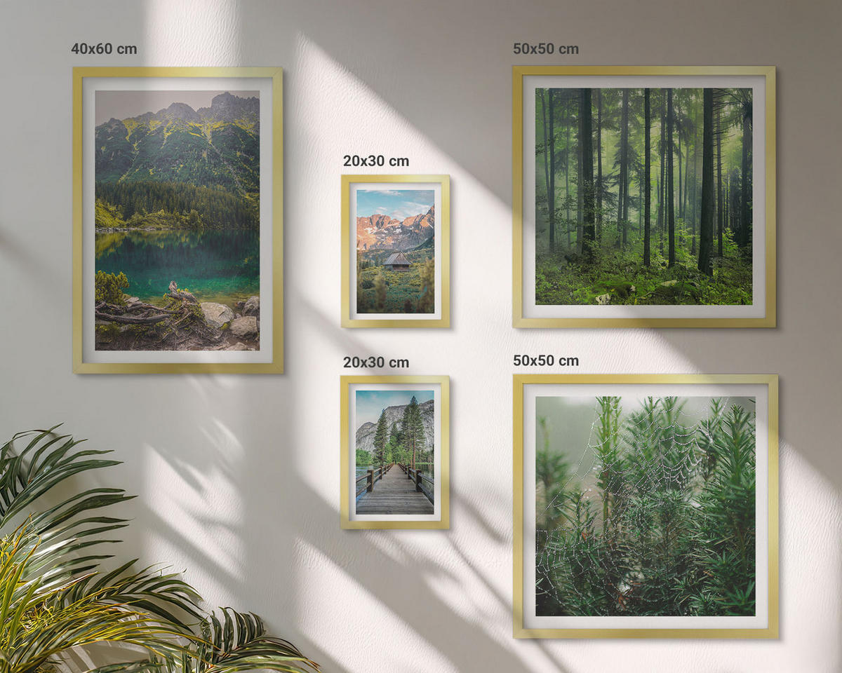 BILDER SET 5er Set - 50x50 cm & 20x30 cm & 40x60 cm Goldrahmen - Minimalistische Pflanzenzeichnungen - Goldfarben, Kunststoff (40/60cm) - TULUP