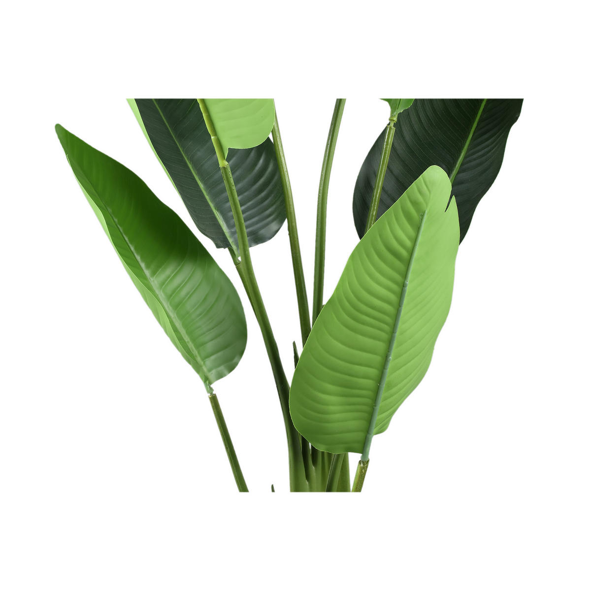 KUNSTPFLANZE Leaves Grün 77/56/117cm - Grün, Kunststoff/Stein (117cm) - PTMD Collection