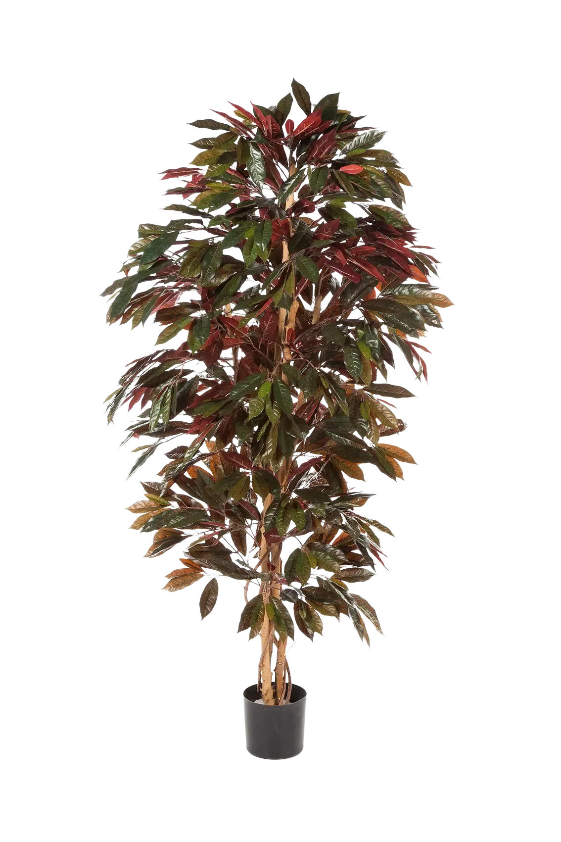 KUNSTBAUM Künstlicher Capensia-Baum - Oliver 210 cm - Multicolor, Kunststoff (210cm) - aplanta