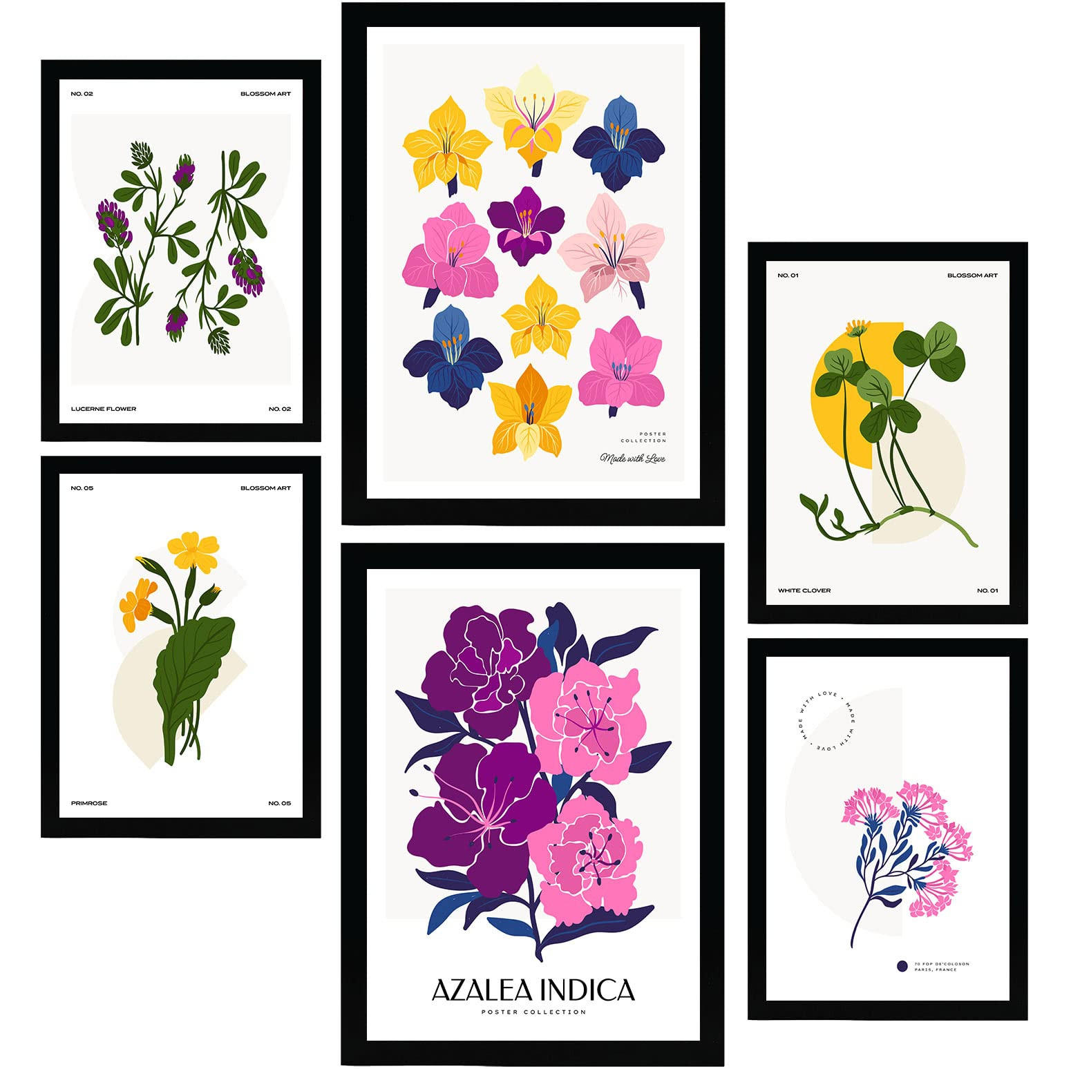 POSTER Set Mit 6 Blumen Chromatische Skala A3 & A4 Rahmenlos - Klar, Papier (29/3cm) - Nacnic