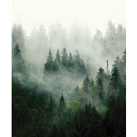 FOTOTAPETE Berglandschaft mit Bäumen 270 x 225 cm - Grün, Papier (270/225cm) - Sanders & Sanders