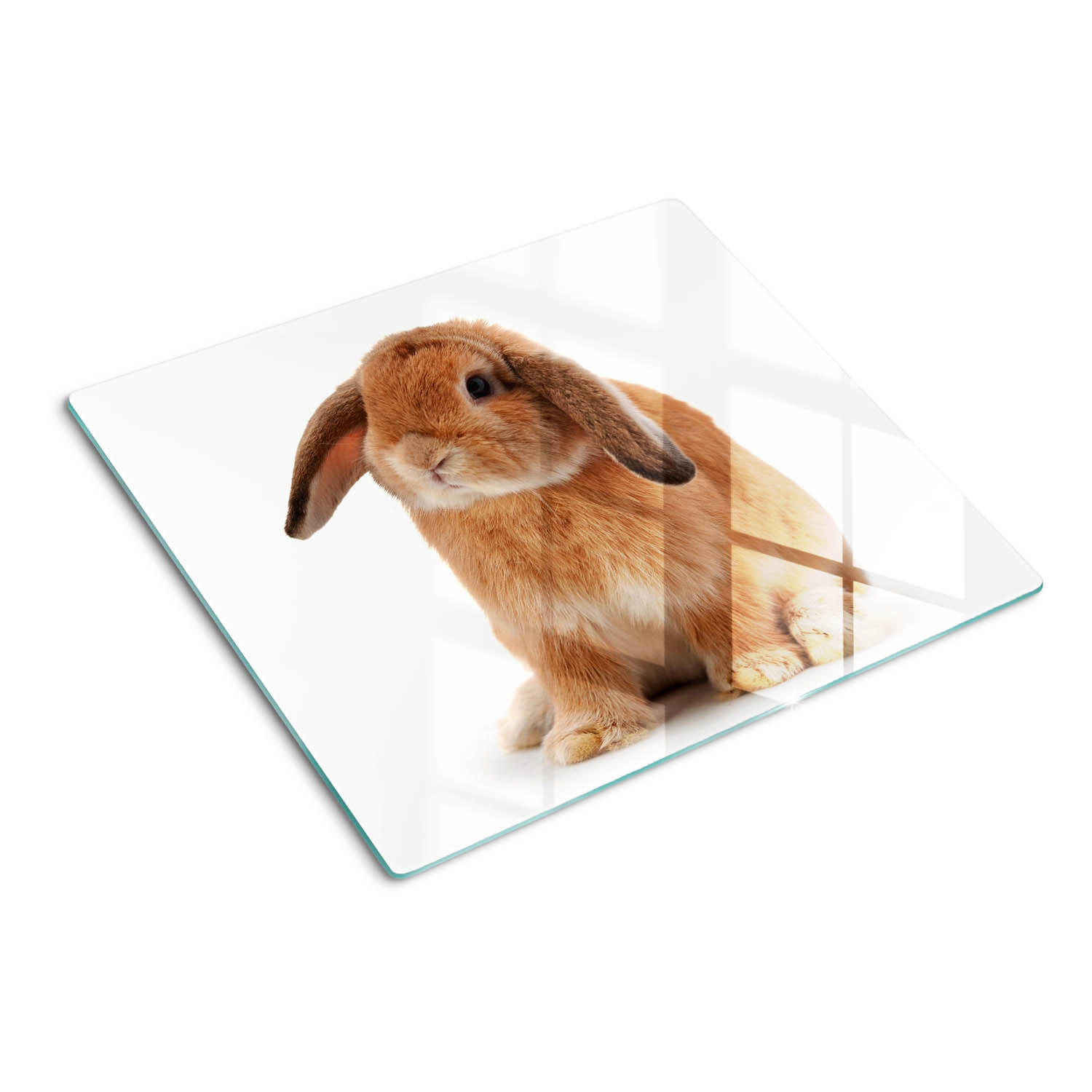 GLASPLATTE 60x52 cm Rotes Kaninchen - Rot/Multicolor, Glas (60/52cm) - TULUP