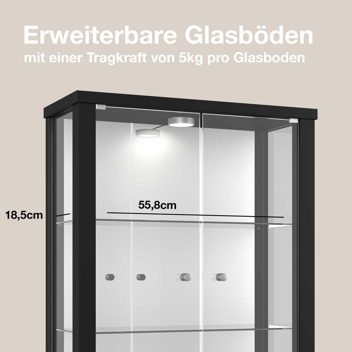 HÄNGEVITRINE 25/60/80 cm mit Spiegel, LED & 2 höhenverstellbaren Glasböden - Transparent/Silberfarben, Glas/Holzwerkstoff (60/80/25cm) - K-Möbel