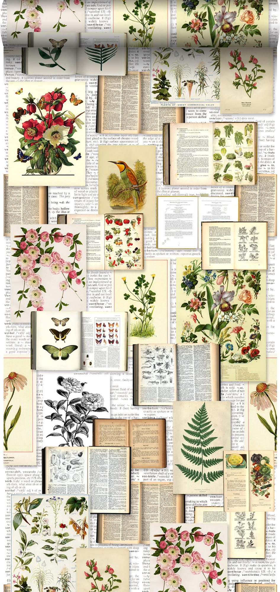 XXL-VLIESTAPETE Seiten aus botanischen Büchern 50 x 900 cm - Gelb, Papier (50/900cm) - ESTAhome
