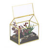 PFLANZENTERRARIUM - Goldfarben, Glas/Metall (15/15/10cm) - Relaxdays