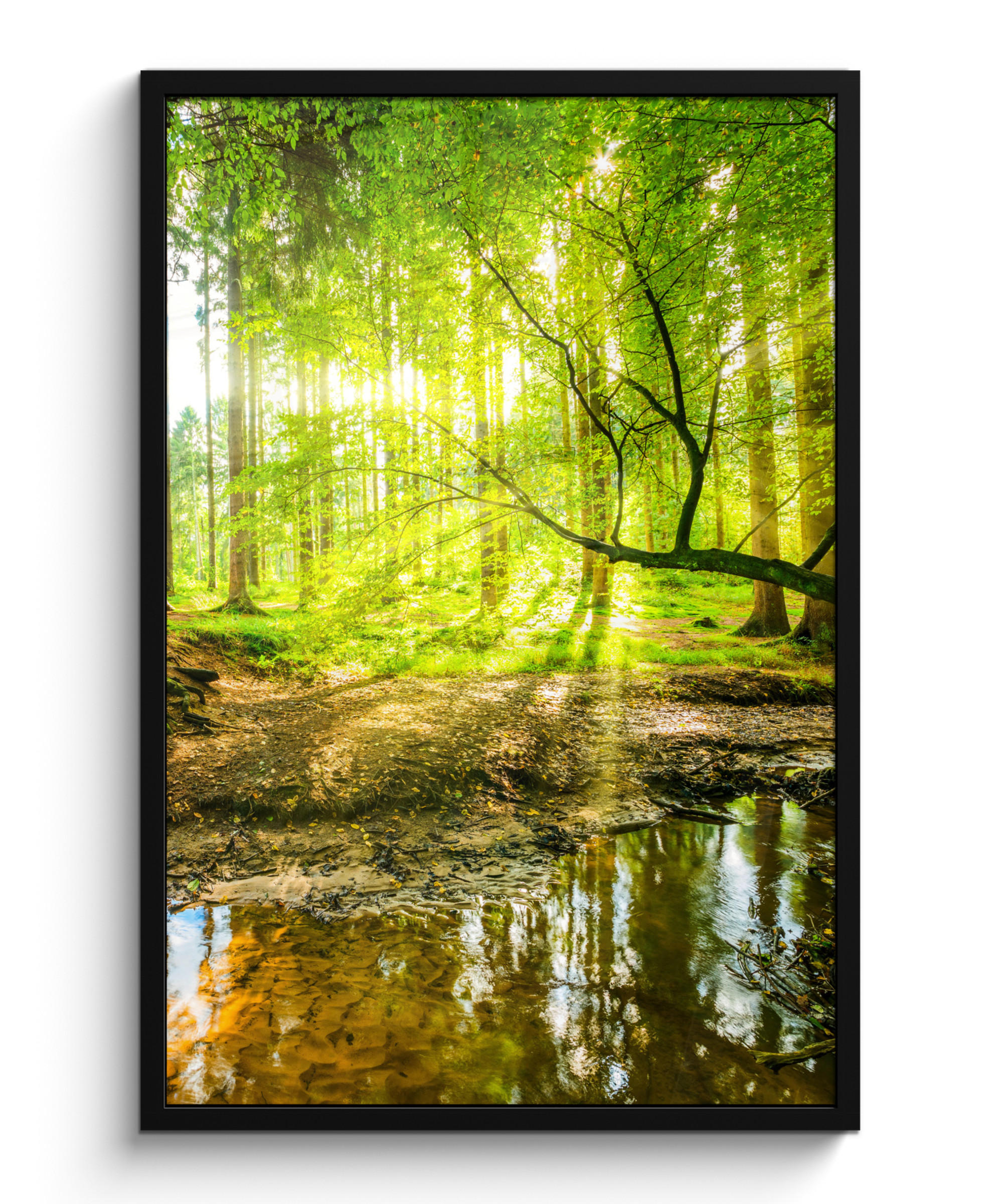POSTER MIT RAHMENGERAHMTES BILD Wald - Landschaft - Wasser - Bäume - Sonne - Grün - Natur 60x90 cm - Grün, Papier (60/90cm) - MuchoWow