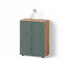 MIDISCHRANK Ronco Grün/Goldkraft Eiche 60 x 81 cm - Grün, Holzwerkstoff (60/81/30cm) - Livinity®