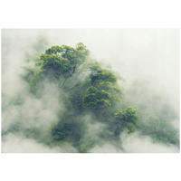 FOTOTAPETE Wald Baume Vliestapete Tapete 350x250 - Multicolor, Papier (350/250cm) - Wallarena