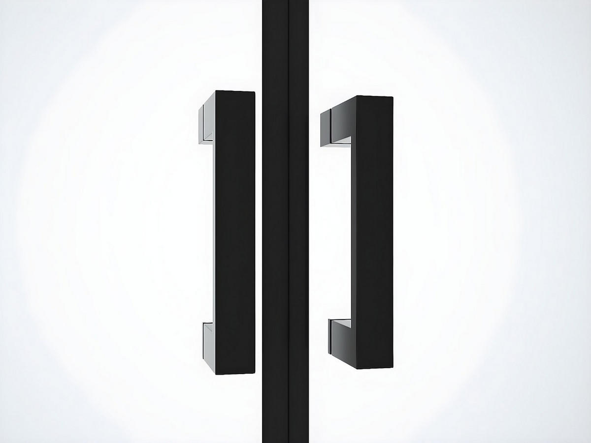 DUSCHTÜR Flügeltür - 70 x 195 cm - Sicherheitsglas - Schwarz matt - SARATOSA - Schwarz, Metall (70/195cm) - Vente-Unique