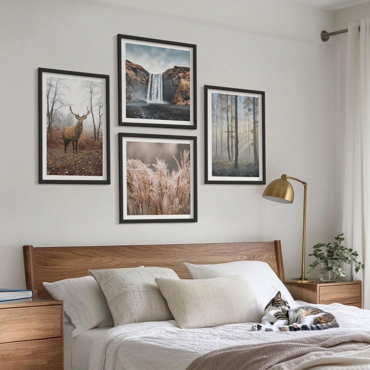 WANDBILDER 4er-Set - 50x50 cm & 40x60 cm Schwarzer Rahmen - Waldlandschaften der Wildnis - Schwarz, Kunststoff (50/50cm) - ArtPrintCave