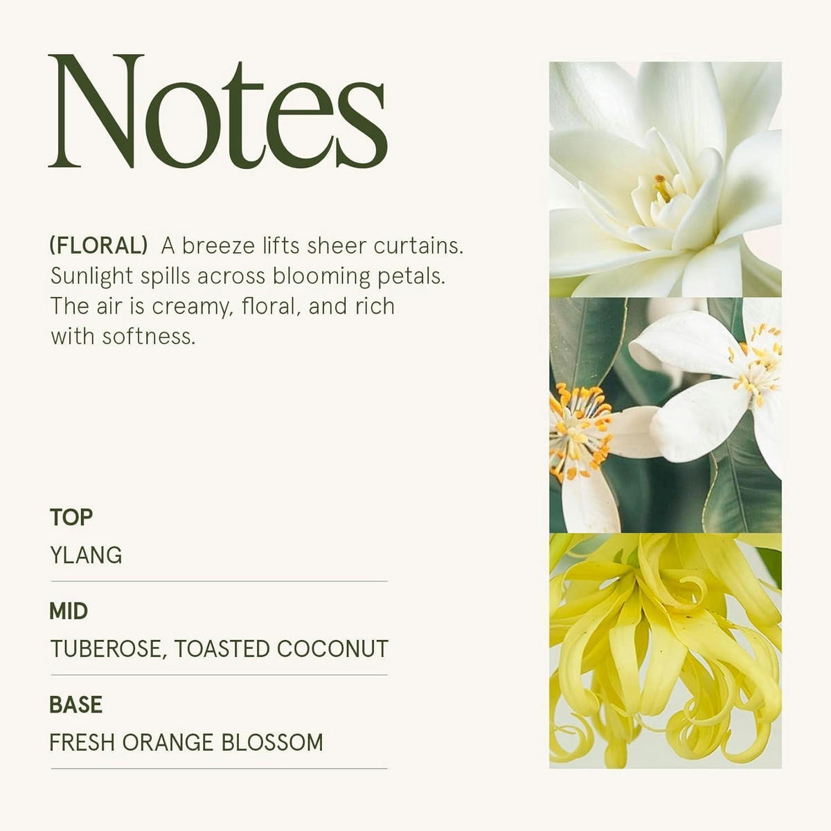 DUFTKERZE im Glas Gardenia & Ylang Ylang 550g - Transparent, Glas (15.2cm)