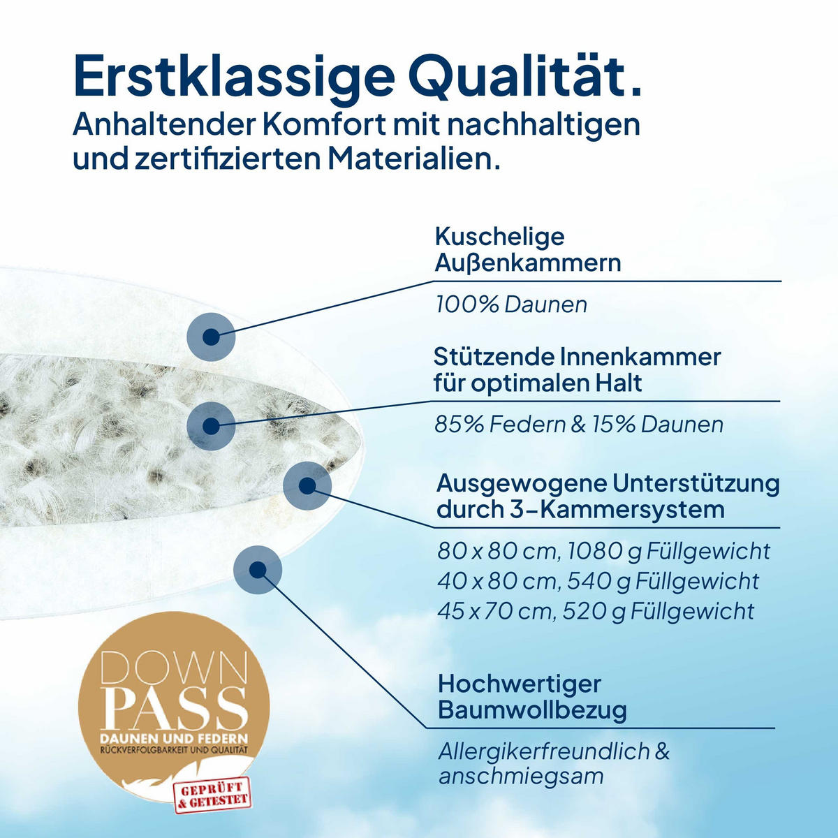 DAUNENKISSEN 40x80 im 3-Kammer-System Made in Germany & DOWNPASS Zertfiziert - Weiß, Textil (40/80cm) - AM Qualitätsmatratzen