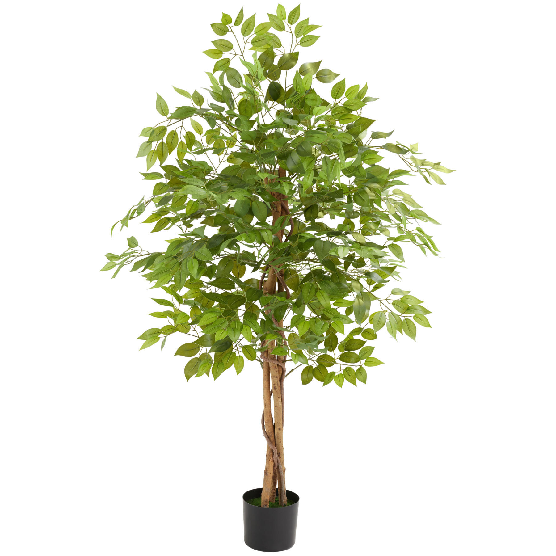 KÜNSTLICHER-FICUSBAUM Fida,stabiler Kunststoff-Blumentopf,grün - Grün, Kunststoff (160cm) - tectake