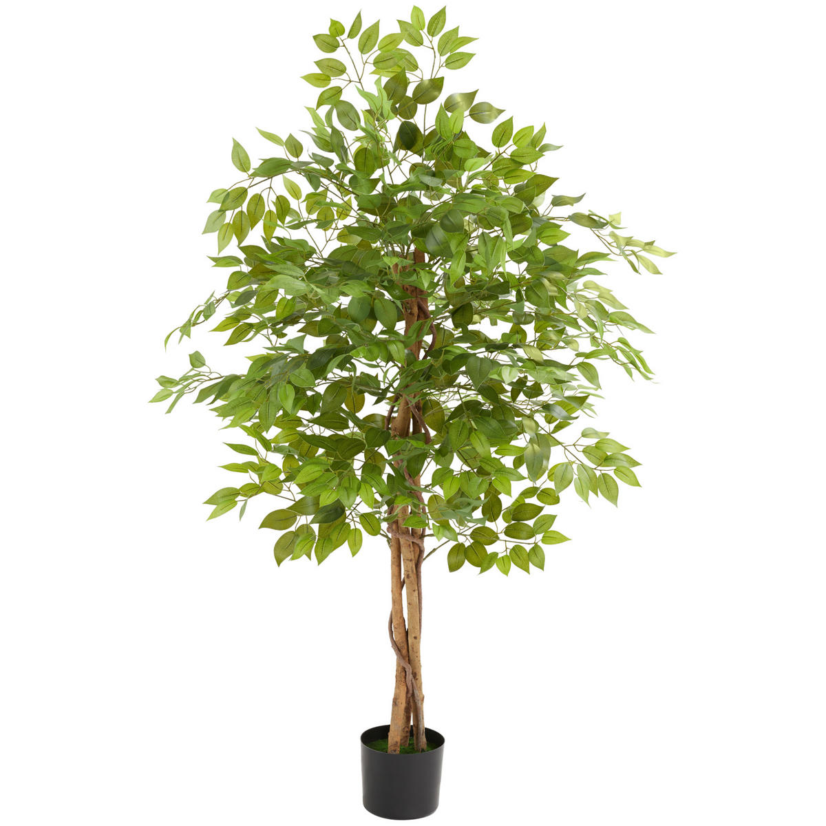 KÜNSTLICHER-FICUSBAUM Fida,stabiler Kunststoff-Blumentopf,grün - Grün, Kunststoff (160cm) - tectake