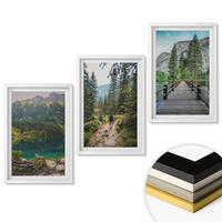 WANDBILDER 3er-Set - 40x60 cm Weißer Rahmen - Berge, Seen, Wälder, Wege - Weiß, Kunststoff (40/60cm) - ArtPrintCave