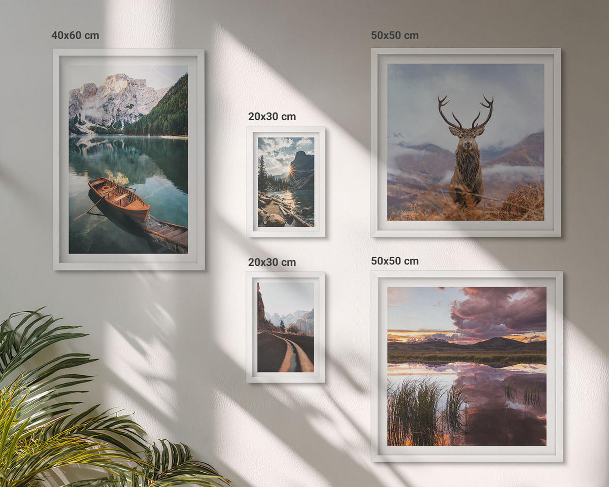 WANDBILDER 5er-Set - 50x50 cm & 20x30 cm & 40x60 cm Weißer Rahmen - Bergsee, Bootsfahrt, Sonnenuntergang, Hirsche - Weiß, Kunststoff (40/60cm) - ArtPrintCave
