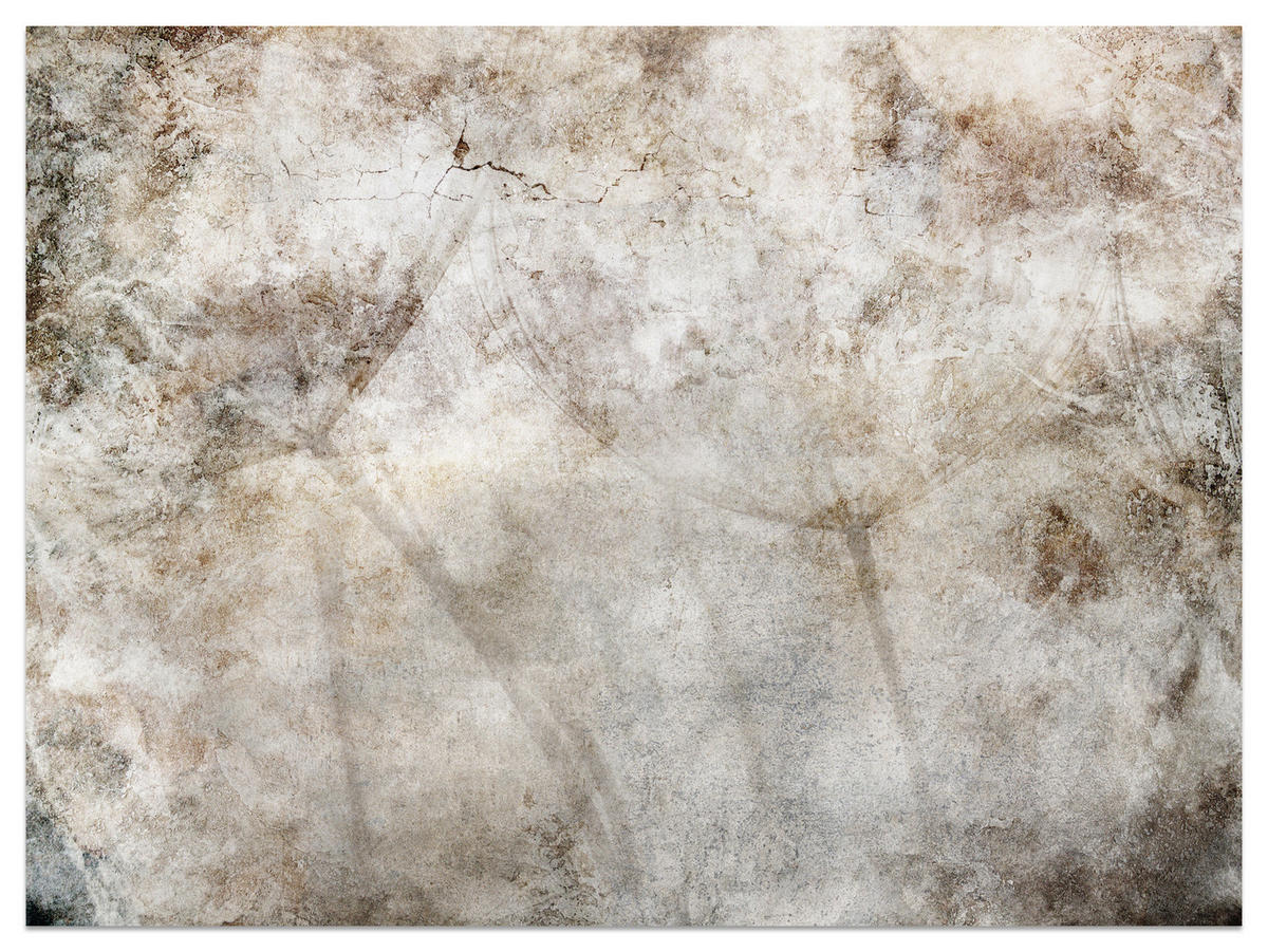 FOTOTAPETE Löwenzahnsamen Beton Retro Stil 150x105 - Beige/Braun, Papier (150/105cm) - Muralo