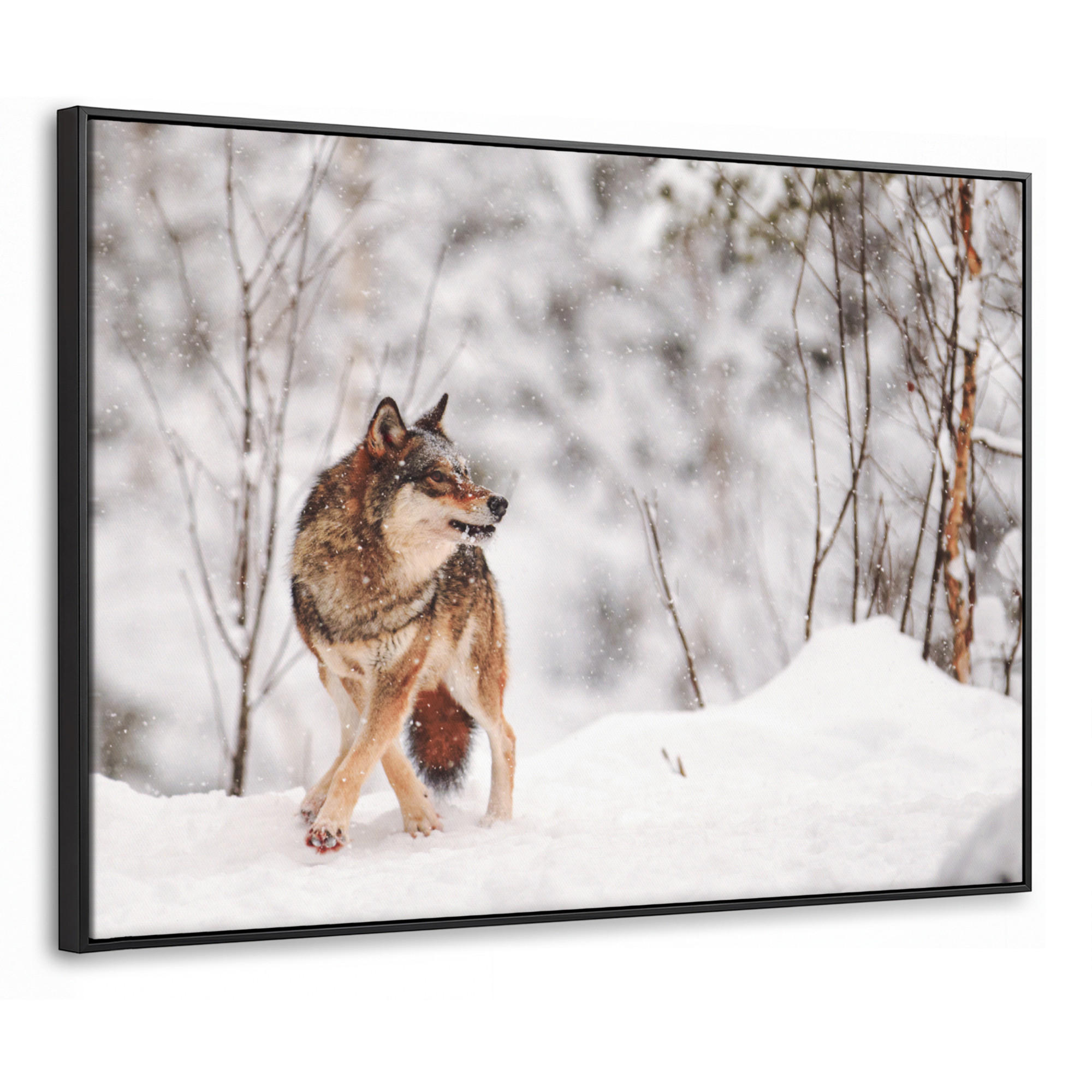 MuchoWow Leinwand Haselnuss 100x70 cm