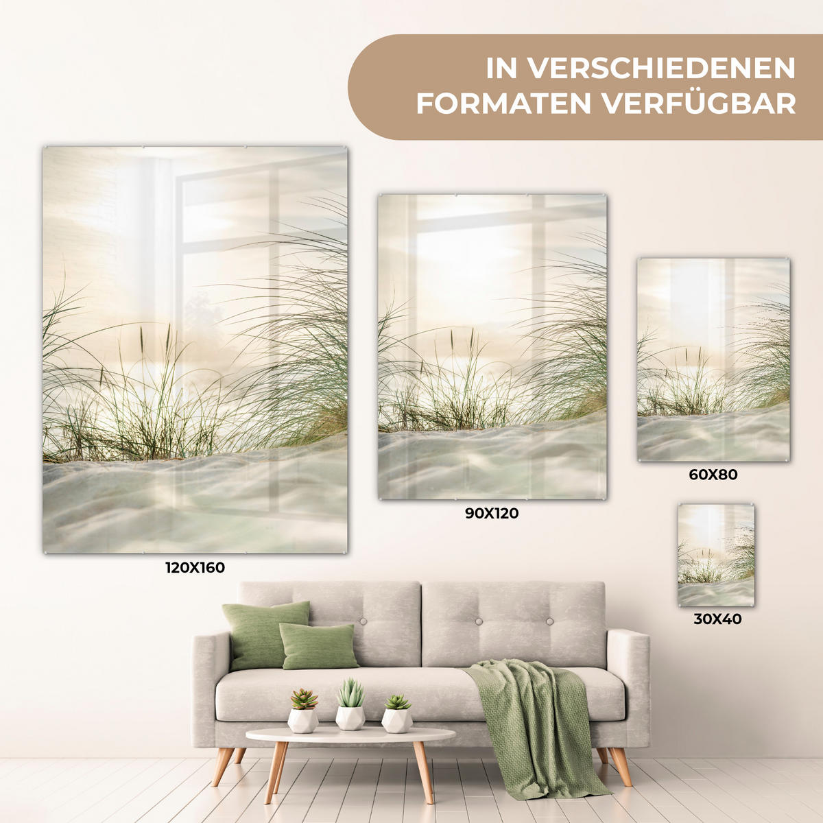 OBRAZ NA AKRYLOVOM SKLE Duny s marramovou trávou pod slnkom nemeckého národného parku Schleswig-Holsteinisches Wattenmeer 60x80 cm - krémová, sklo (60/80cm) - MuchoWow