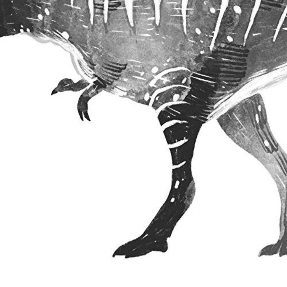 POSTER Set mit 4 Dinosaurios weiß negro A3 Rahmenlos - Klar, Papier (29.7/3cm) - Nacnic