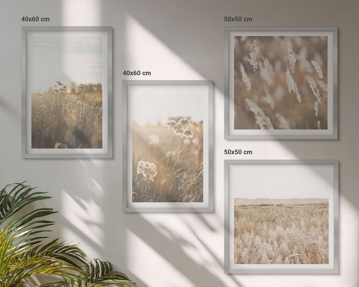 BILDER SET 4er Set - 50x50 cm & 40x60 cm Silberner Rahmen - Landschaftsgrasblumen Wärme - Silberfarben, Kunststoff (50/50cm) - TULUP