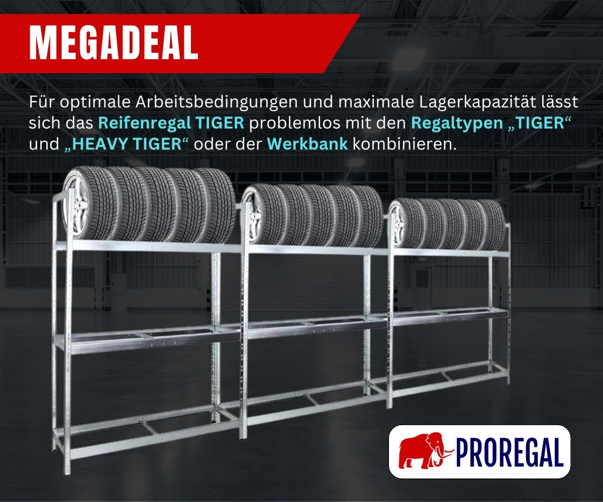 REIFENREGAL Tiger XL 200x150x45 cm 300 kg Fachlast bis zu 18 Reifen auf 3 Ebenen Verzinkt - Silberfarben, Metall (150/200/45cm) - PROREGAL