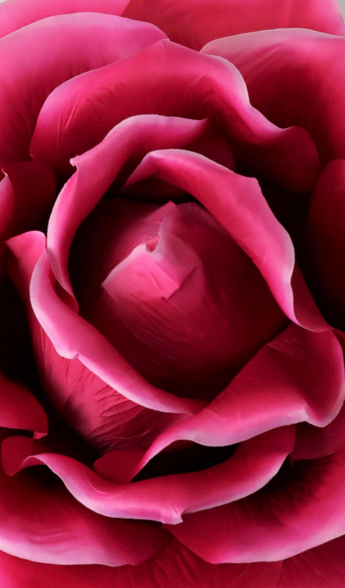RIESENBLUME Rose pink - Rosa, Kunststoff (120cm) - FURNARO