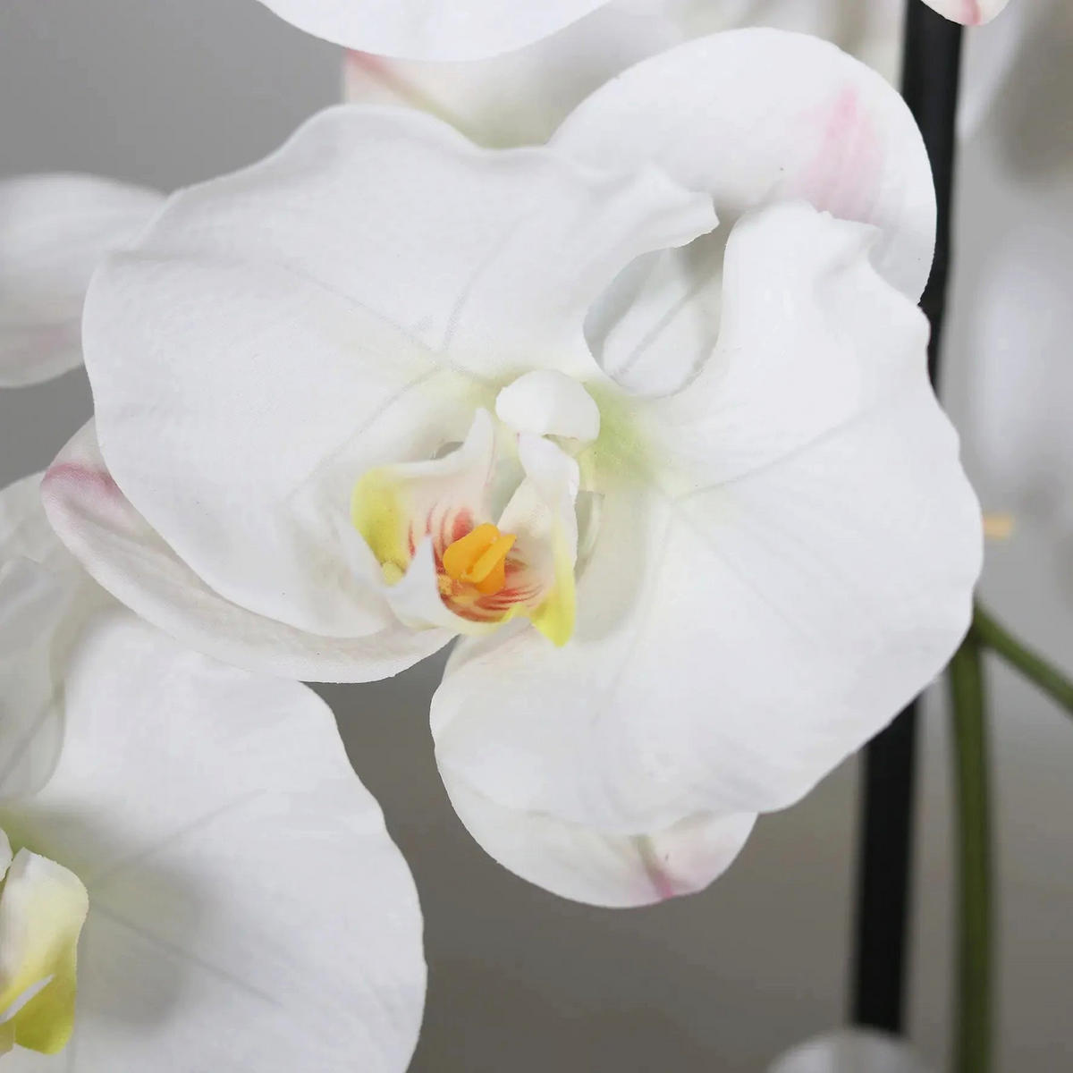 KÜNSTLICHE Orchidee - Yuri 134 cm in weißem Dekotopf, Real Touch - Grün, Kunststoff (134cm) - aplanta