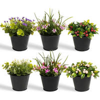 KUNSTPFLANZE 6-teiliges Set 16 cm - Multicolor, Kunststoff (7cm)