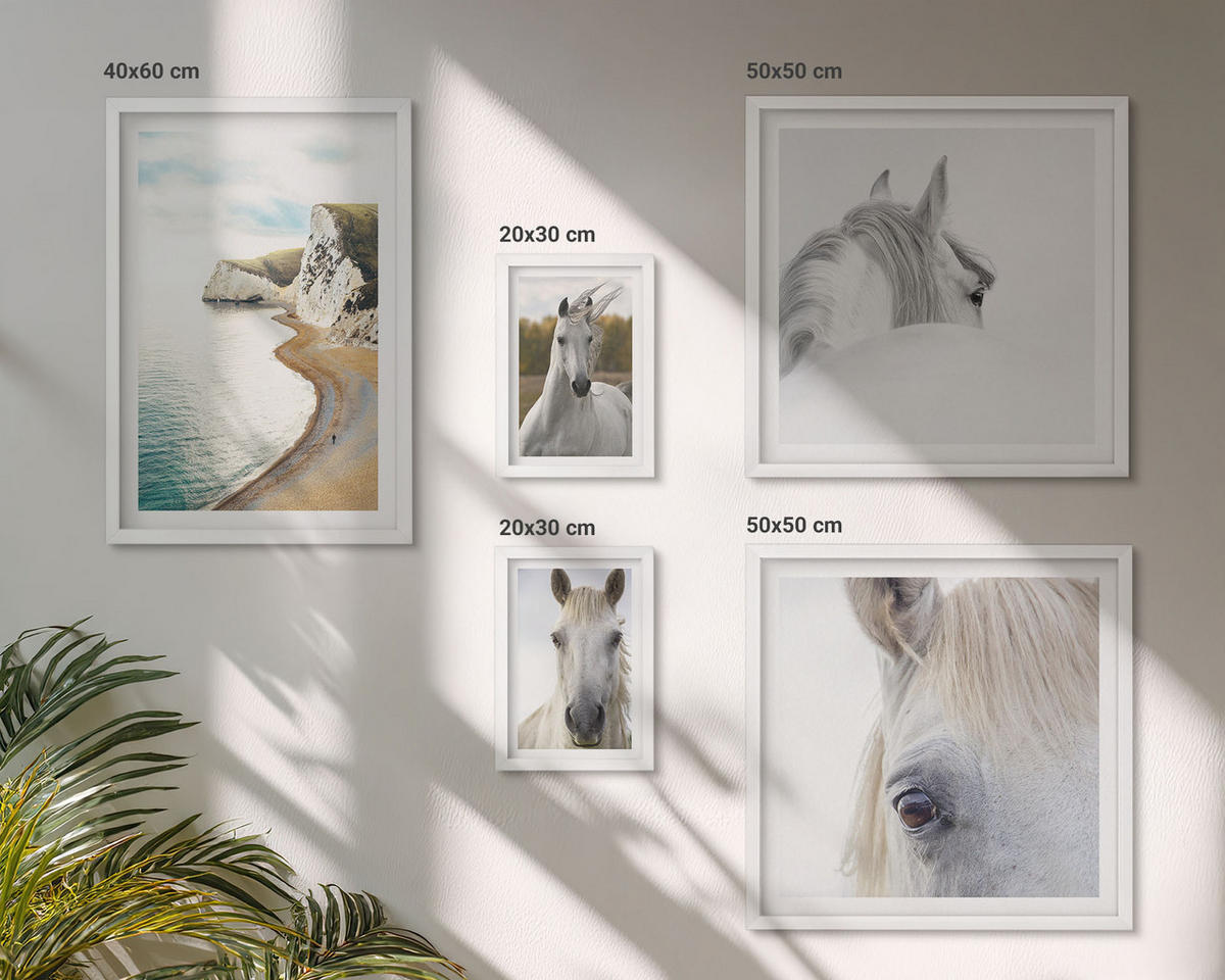 BILDER SET 5er Set - 50x50 cm & 20x30 cm & 40x60 cm Weißer Rahmen - Kontrastierende abstrakte Porträts - Weiß, Kunststoff (40/60cm) - TULUP