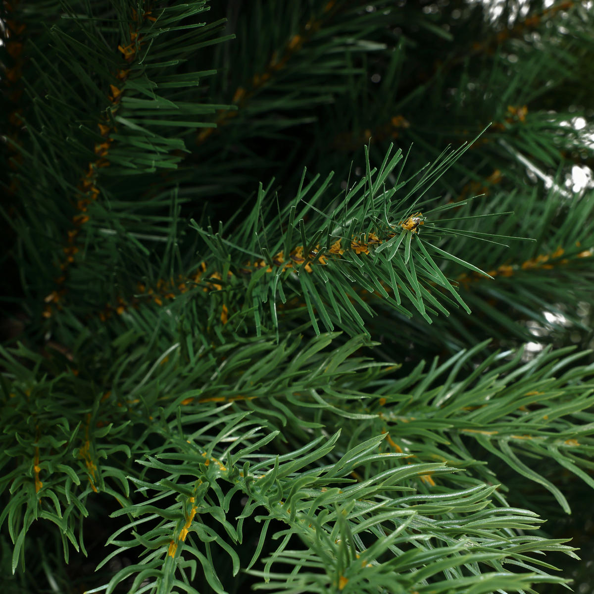 KÜNSTLICHER Weihnachtsbaum 185 cm,1.956 PE-/PVC-Spitzen - Grün, Kunststoff (185cm) - Hometopia