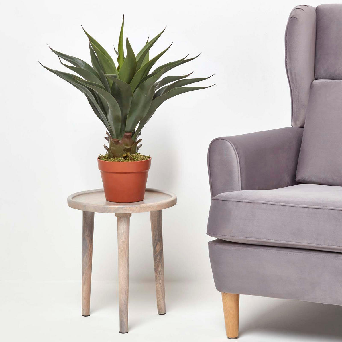 KUNSTPFLANZE Agave, 60 cm - Grün, Kunststoff (60cm) - Homescapes