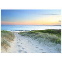 FOTOTAPETE Strand Meer 300x210 - Multicolor, Papier (300/210cm) - Wallarena