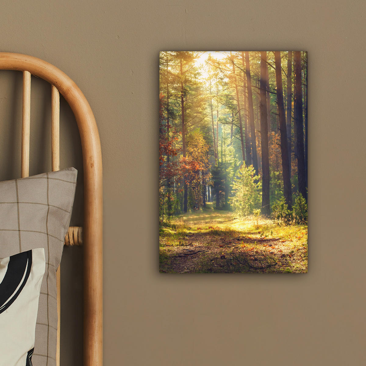 LEINWANDBILD Wald - Herbst - Bäume 20x30 cm - Dunkelgrün, Textil (20/30cm) - MuchoWow