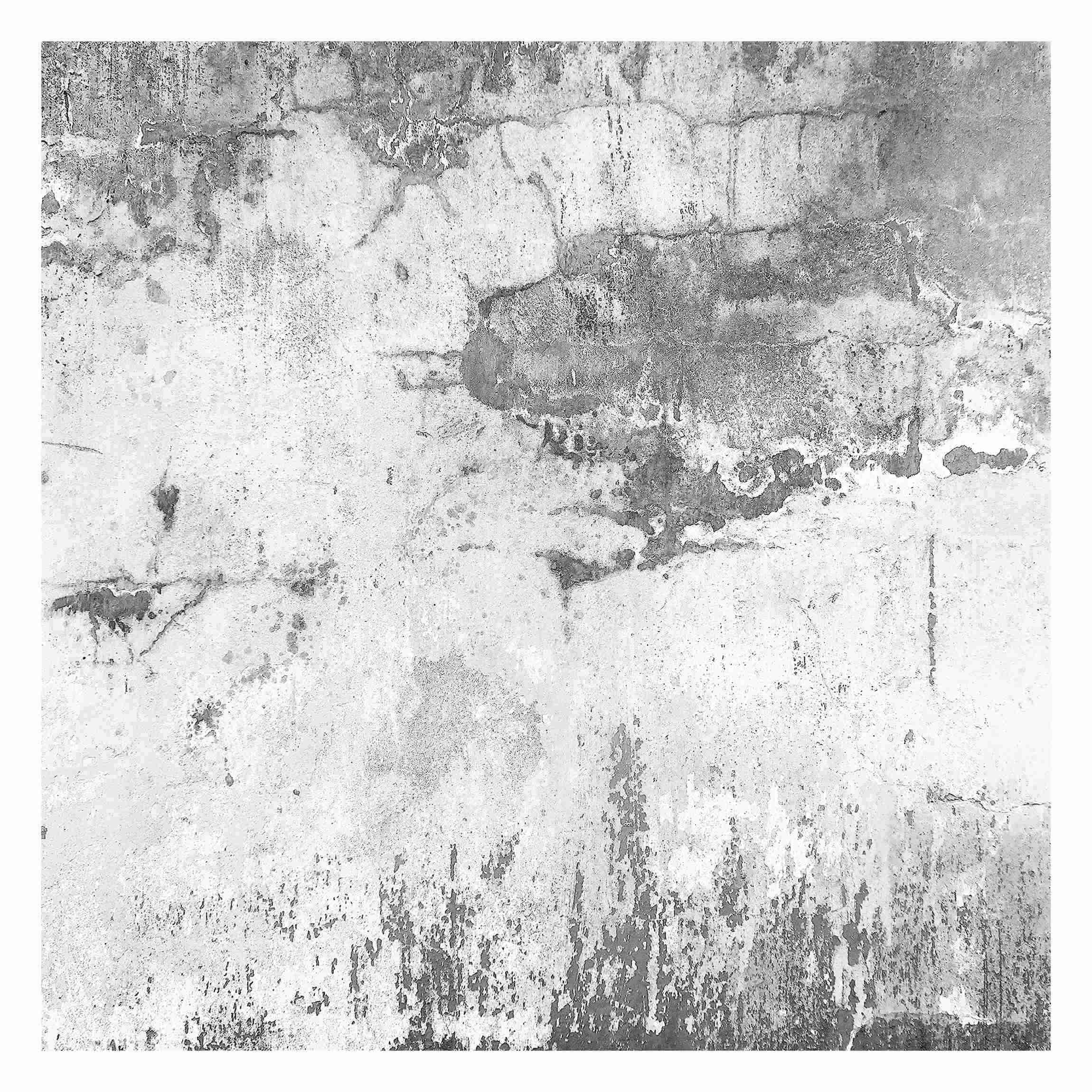 FOTOTAPETE Grunge Betonwand Grau 240/240 cm - Grau, Papier (240/240cm) - Bilderwelten