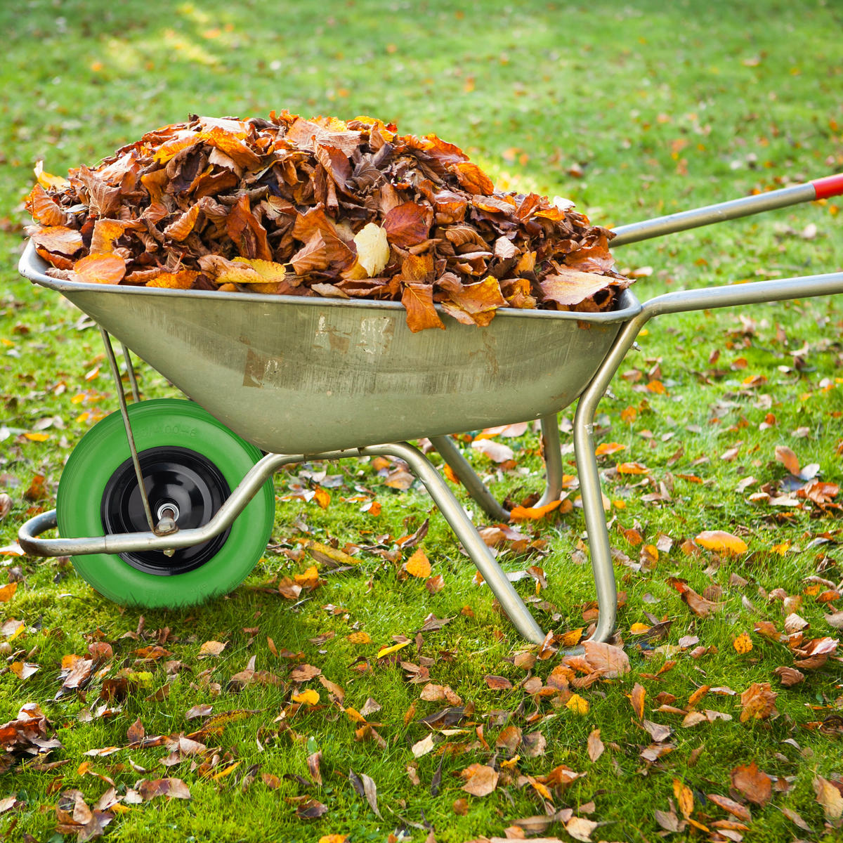 SCHUBKARRENRAD - Multicolor, Kunststoff/Metall (9/39/9cm) - Relaxdays