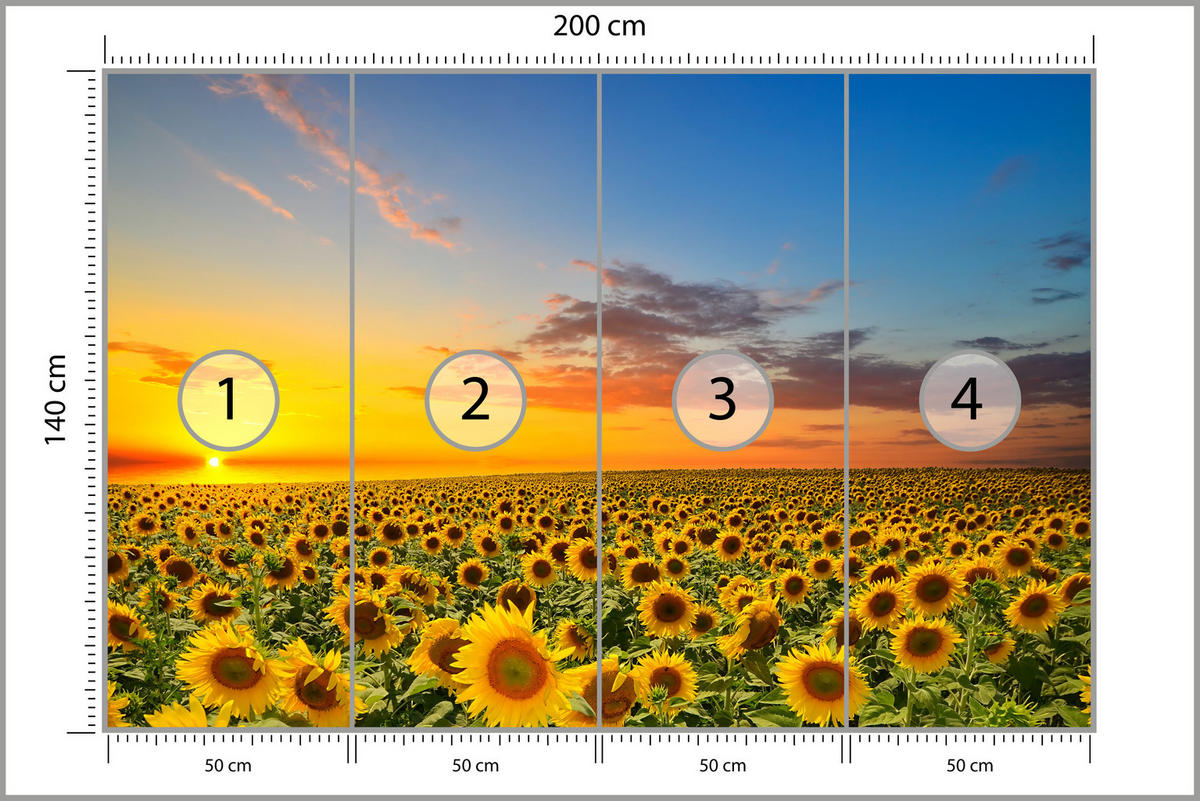 FOTOTAPETE für Küche Sonnenuntergang Sonnenblumenfeld Blumen 200x140 - Gelb/Orange, Papier (200/140cm) - Muralo