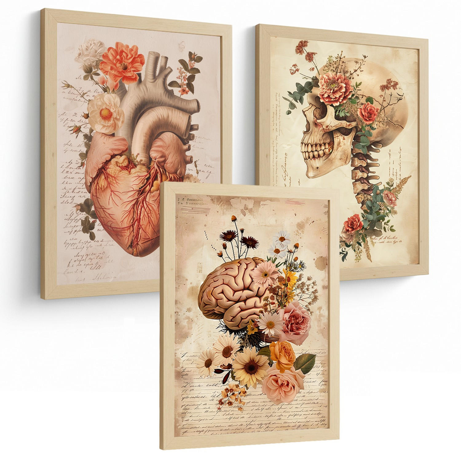 POSTER Set aus 3 Anatomie Mensch Drucke und Wandbilder mit Herz Gehirn und Schädel Vintage Floraler Stil Wanddekoration Größe Rahmenlos A4 - Klar, Papier (21/29.7/3cm) - Nacnic